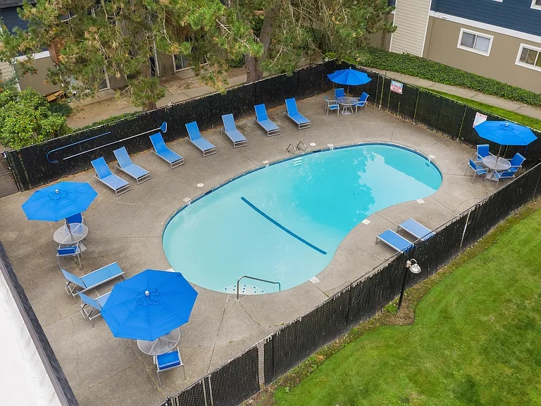 Sparkling Swimming Pool