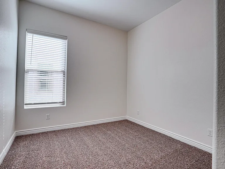 392 Frodsham St — Photo 32
