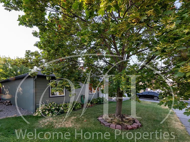 62 Talon Loop — Photo 2