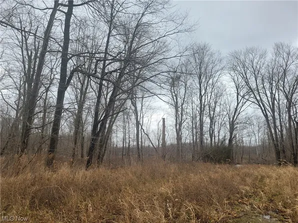 Dock Rd, Madison, OH 44057