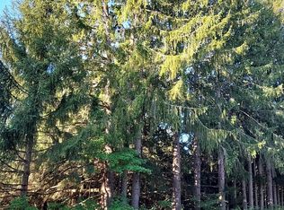 E Sturgeon Valley Rd, Vanderbilt, MI 49795