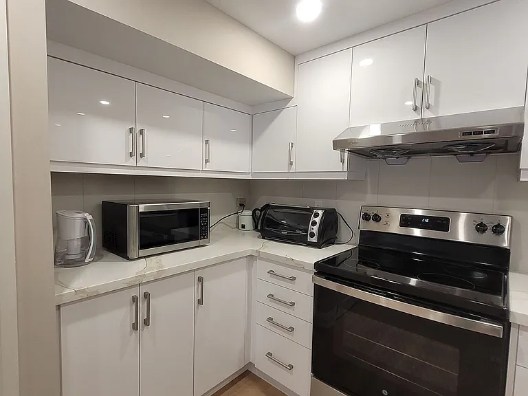 3093 Sir Johns Homestead #BASEMENT — Photo 10