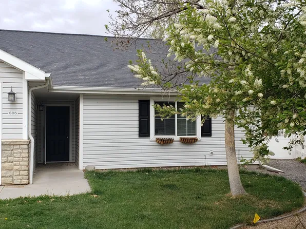 805 Timber Buck Ct, Montrose, CO 81401