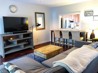 899 Merritt Dr APT 1B, Hillsborough, NJ 08844