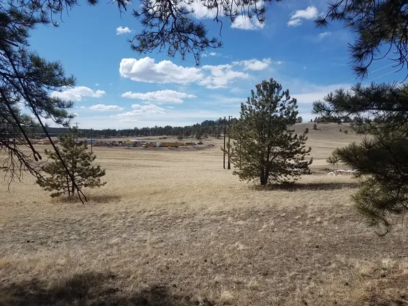248 Homestead Ln, Florissant, CO 80816