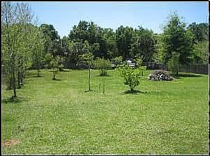 Back yard