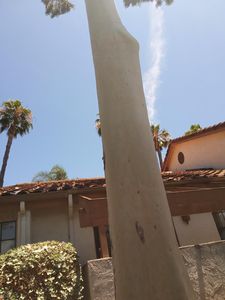 1651 S Juniper St UNIT 97, Escondido, CA, 92025