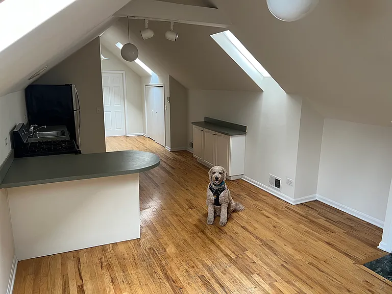 900 N Ashland Ave #4 — Photo 7