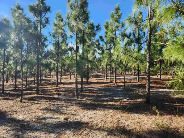 Xx Big Creek Rd, Hosford, FL 32334