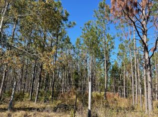 0 County Road 252, McAlpin, FL 32062