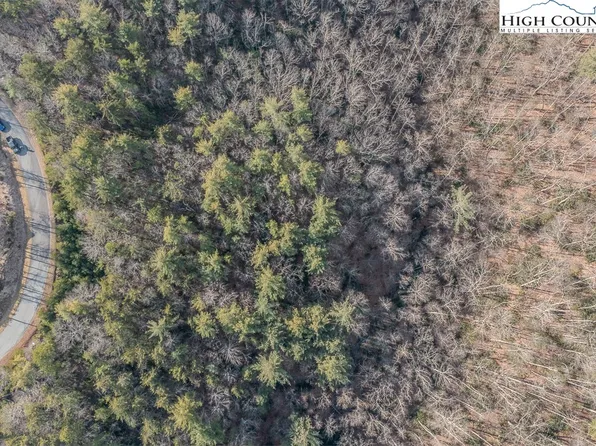 TBD Phacelia Lane, Boone, NC 28607