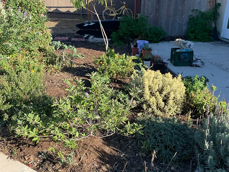 Kelly Dr — Photo 11