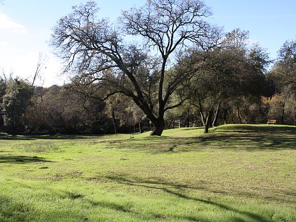 Possible pasture area