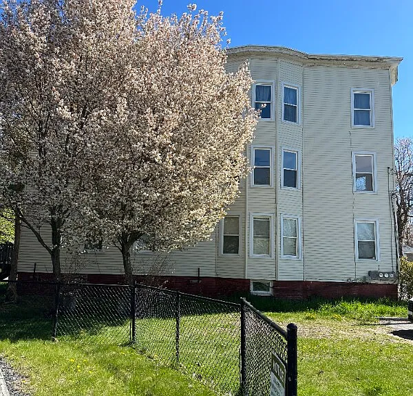 51 Frederic St #2 — Photo 3