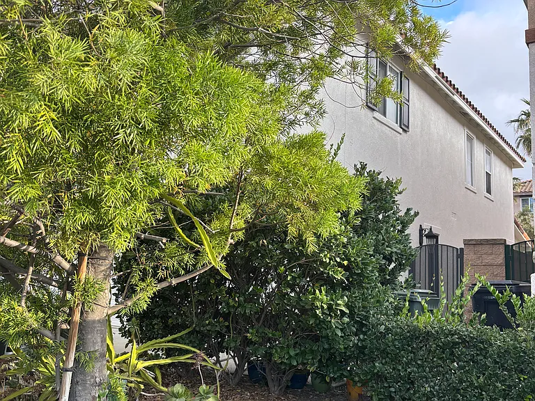 16284 Ladybird Way — Photo 26