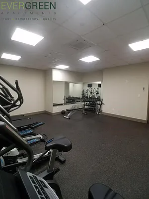 Rented by Evergreen Apartments BK | media 12