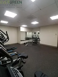 Rented by Evergreen Apartments BK