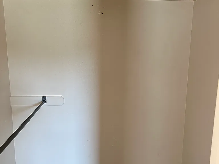 Master walk-in closet