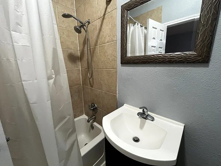717 W Alabama St #4 — Photo 7
