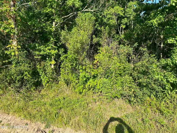 Cherry Ln, Bay Saint Louis, MS 39520