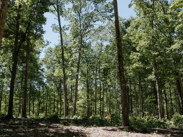 0 New Hwy Lot 7-4, Santa Fe, TN 38482