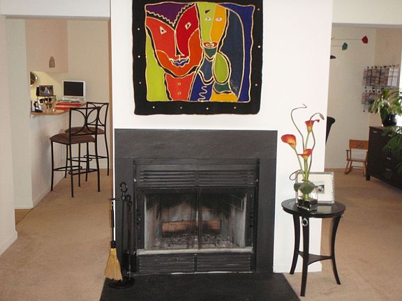 Woodburning Fireplace