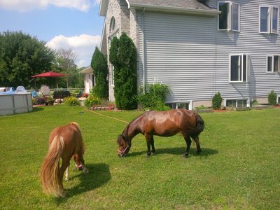 7288 Griswold Rd, Smiths Creek, MI, 48074