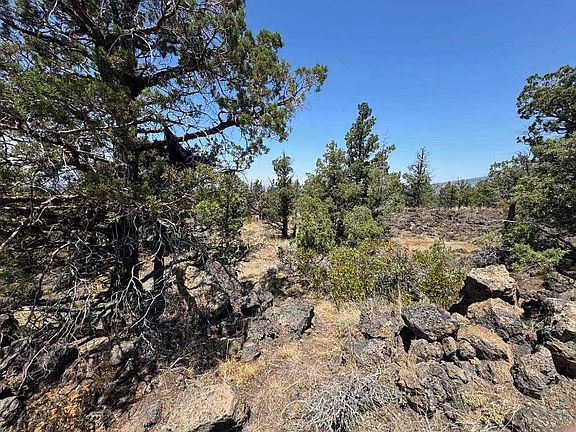 4th image of LOT 33 Thrush Rd