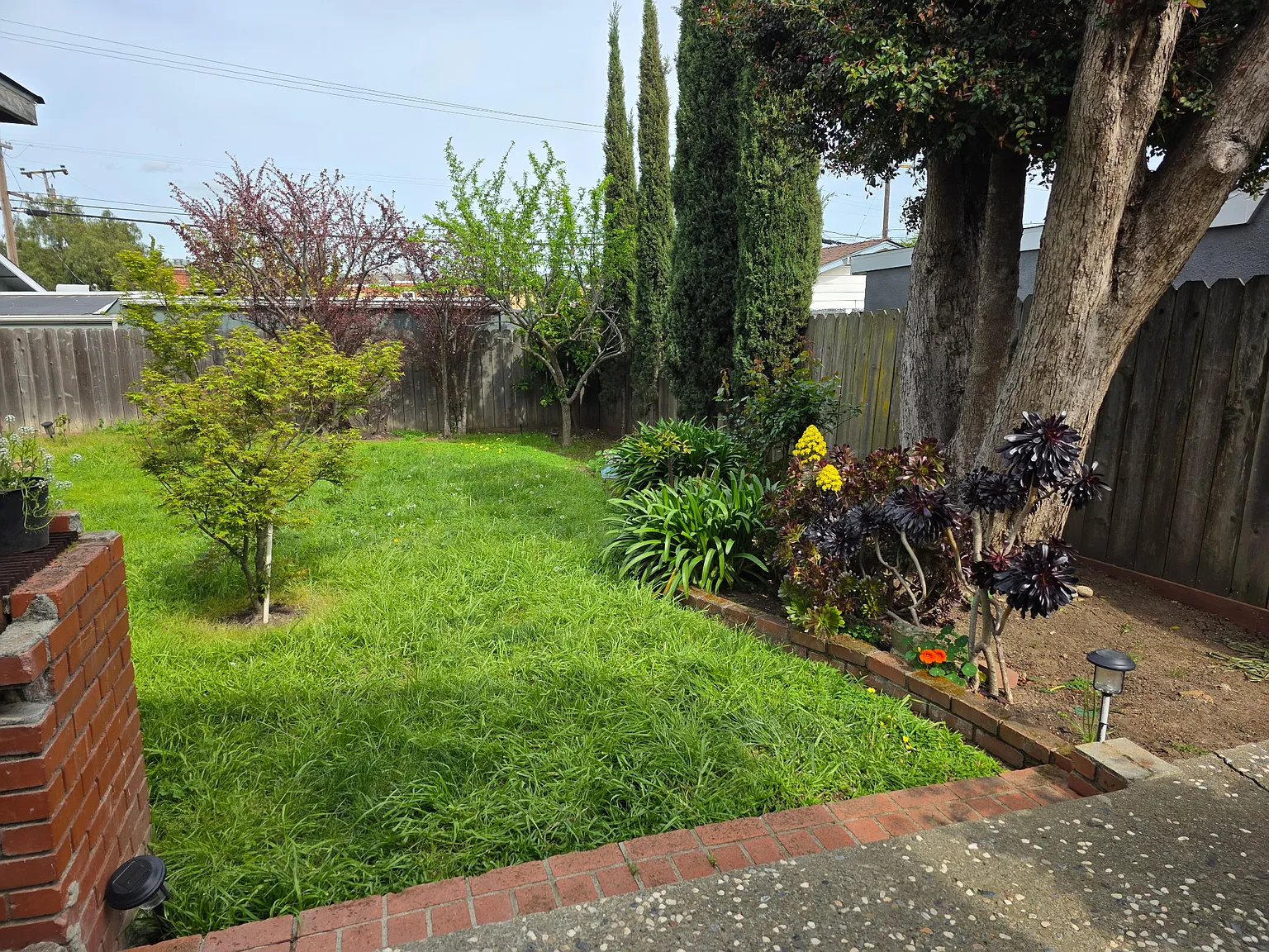 1 bed, 200 sqft, $1,000 — Photo 3