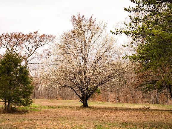 45th image of this home