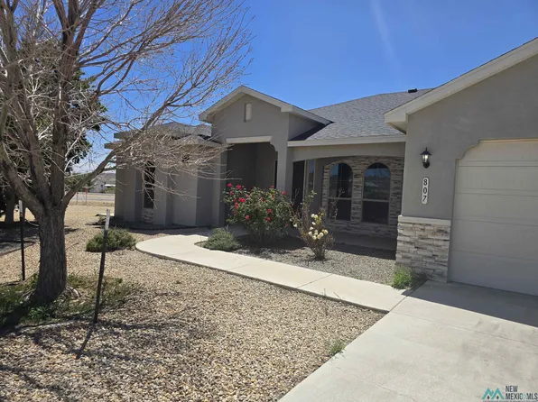 807 Calamity Jane Dr, Carlsbad, NM 88220