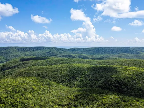 Calle 335 Barinas, Yauco, PR 00698