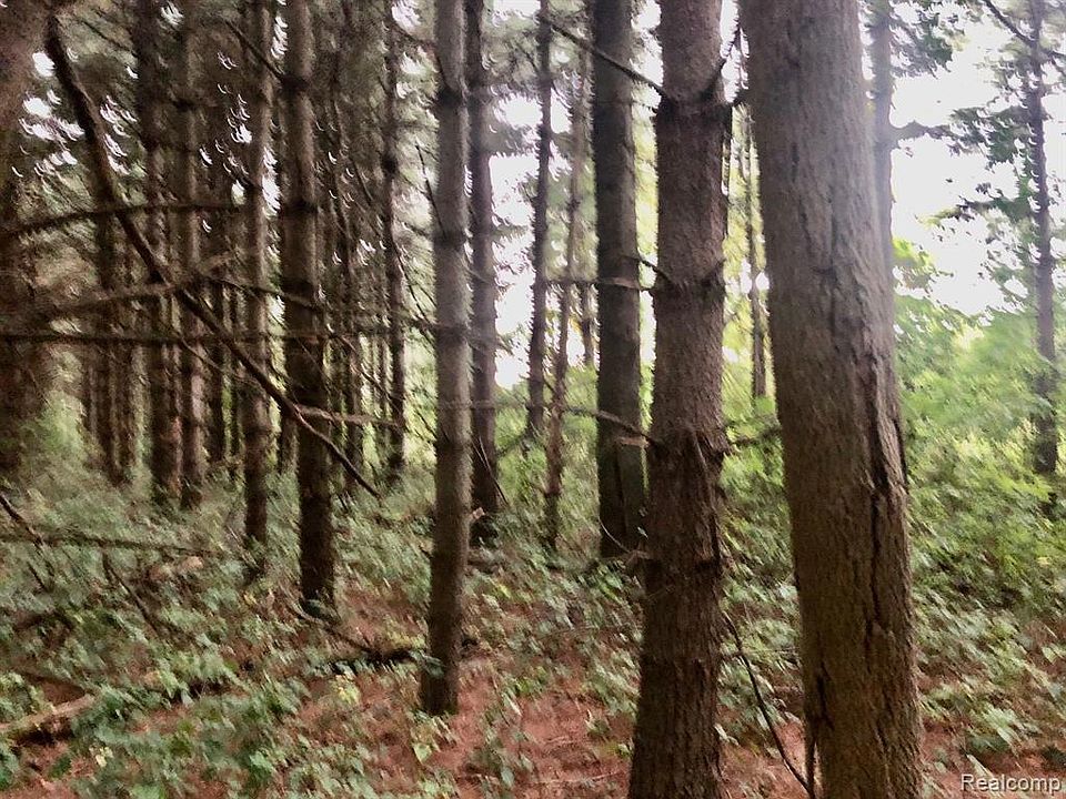 PARCEL Brown City Rd Imlay City, MI, 48444 Apartments for Rent Zillow