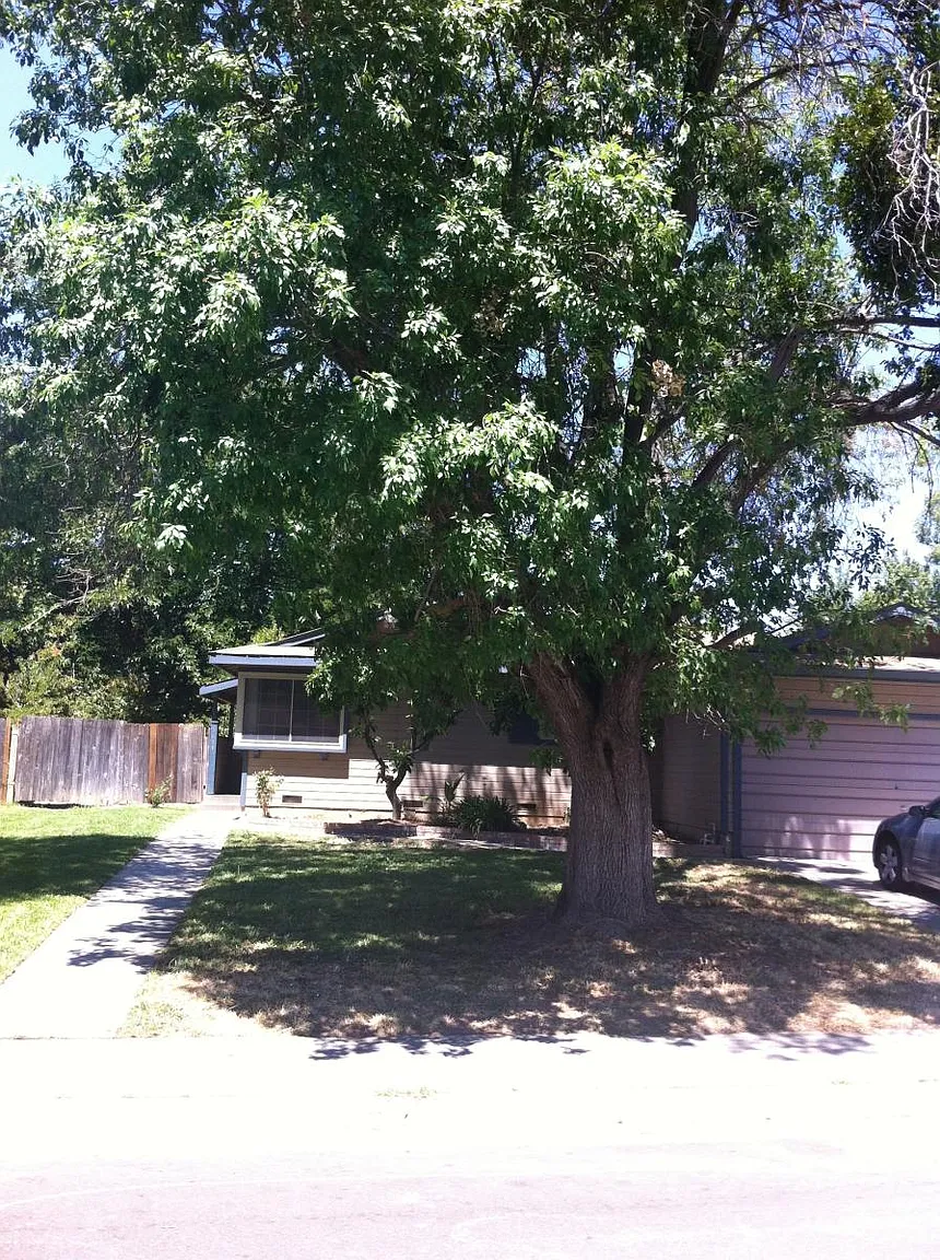 5613 Houston Way photo 1