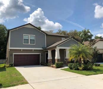 11823 Twilight Darner Pl, Lithia, FL, 33569