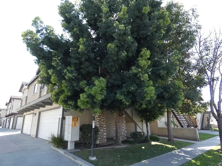 Bf9316 (Palm)-Ta2 (Rubs) — Photo 4