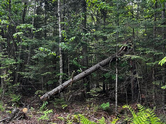 4th image of Lot 9-4 Lilly Drive