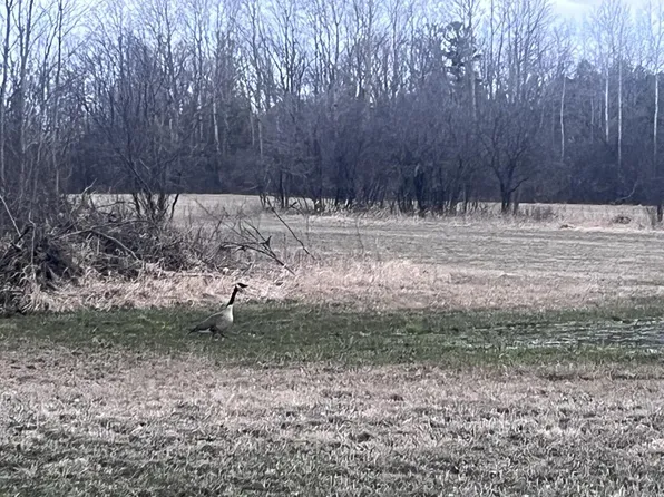 Lt2 VIRGINIA DRIVE, Manitowoc, WI 54220