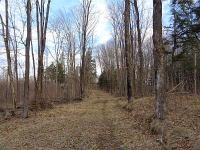EASEMENT ROAD