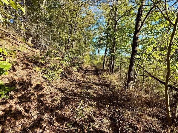 0 Harmons Creek Rd, Poca, WV 25159