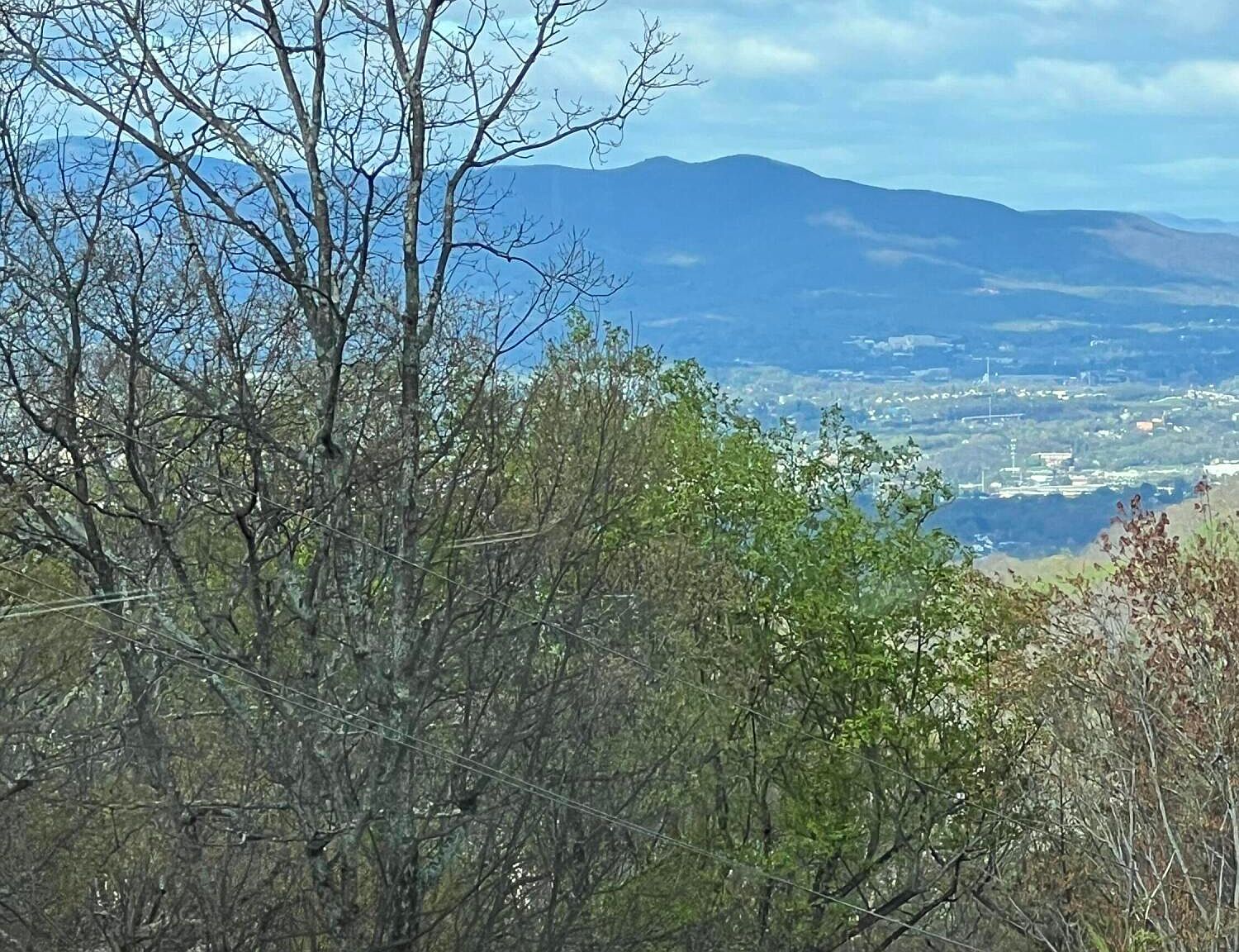 4487 Toddsbury Dr 21, Vinton, VA 24179 MLS 906376 Zillow