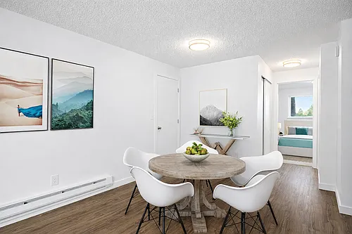 Canopy Apartments Photo 1