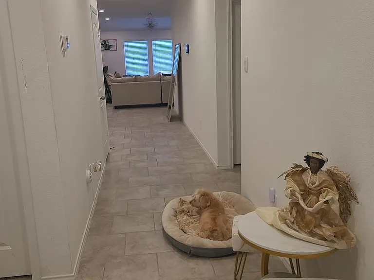 16118 Jordan Meadow Way — Photo 3