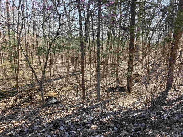 L15-B8 Lochloosa Dr, Cherokee Village, AR 72529