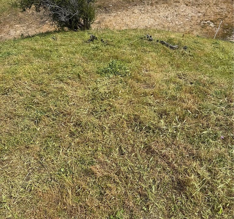 2nd image of LOT 84