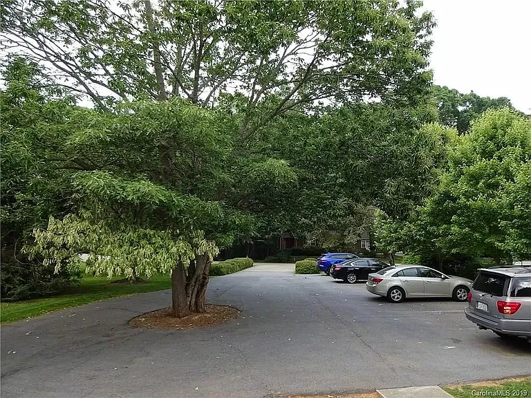 34 Selwyn Rd #C — Photo 15