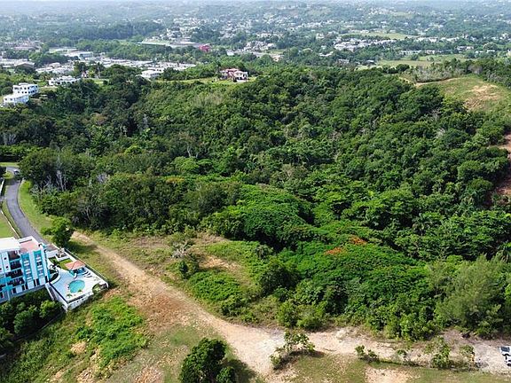 3rd image of Palmar Novoa