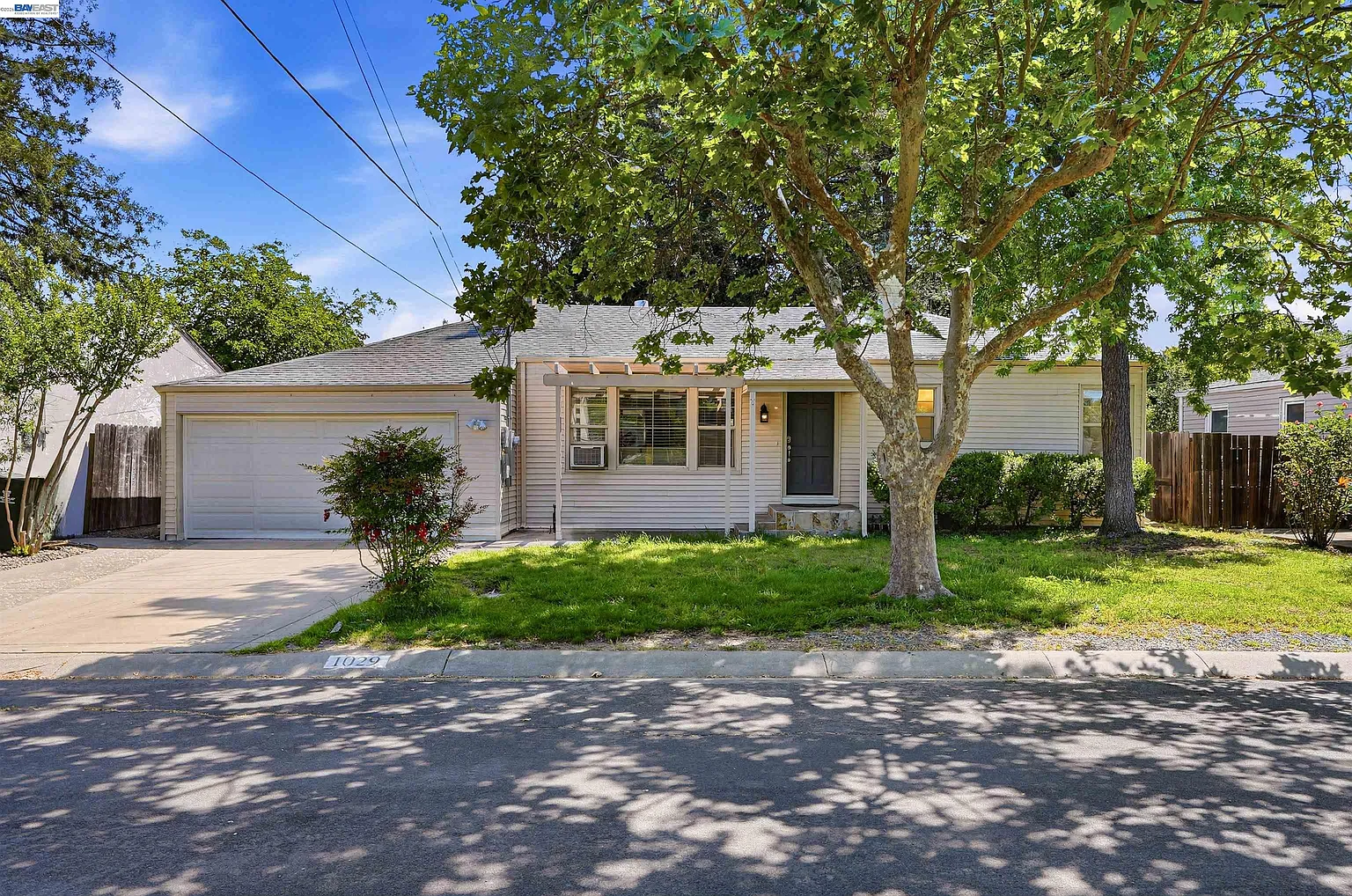 1029 Esther Dr photo 1