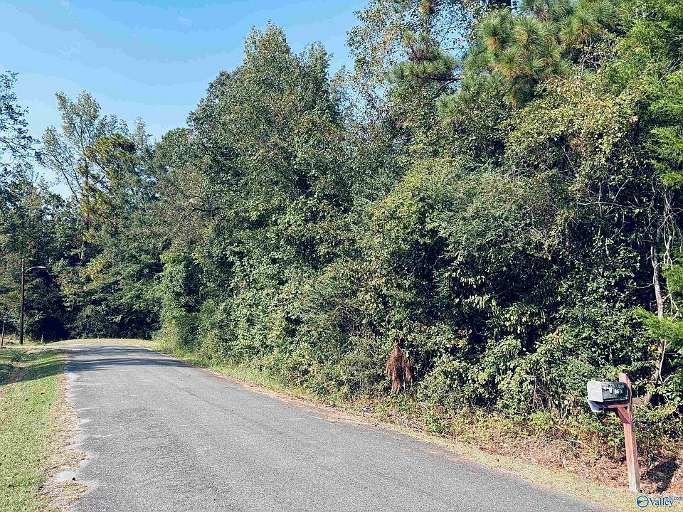 2nd image of 1428 Cove Creek Dr