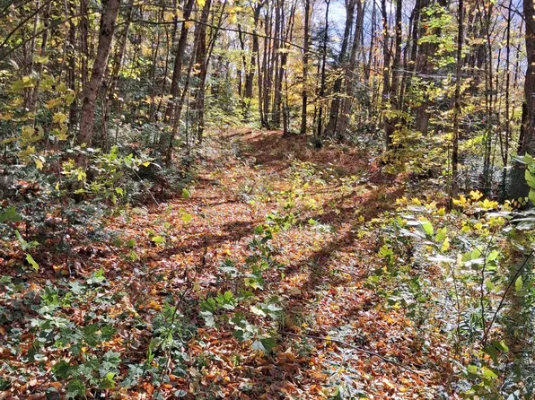 0000 Oak Lane, Eden, VT 05652